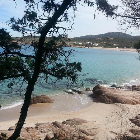 Appartamento Fronte mare attico indipendente ed esclusivo con terrazza panoramica Isola Rossa Esterno foto