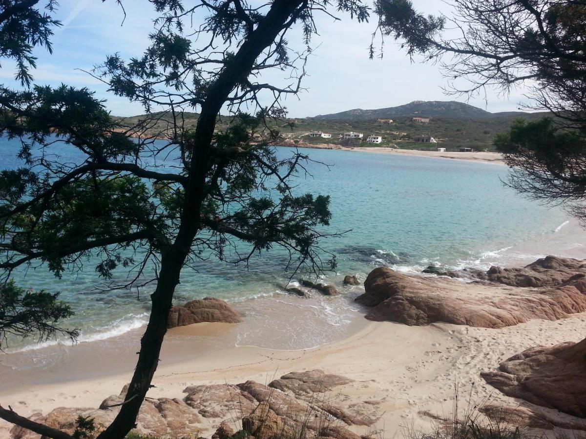 Appartamento Fronte mare attico indipendente ed esclusivo con terrazza panoramica Isola Rossa Esterno foto
